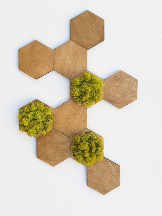 Wooden Hexagon Wall Decor